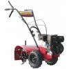 Varan Motors - 93020 Gartenfräse Mit Motor 6.5PS Arbeitsbreite 50cm Mit Rädern Für Jedes Gelände